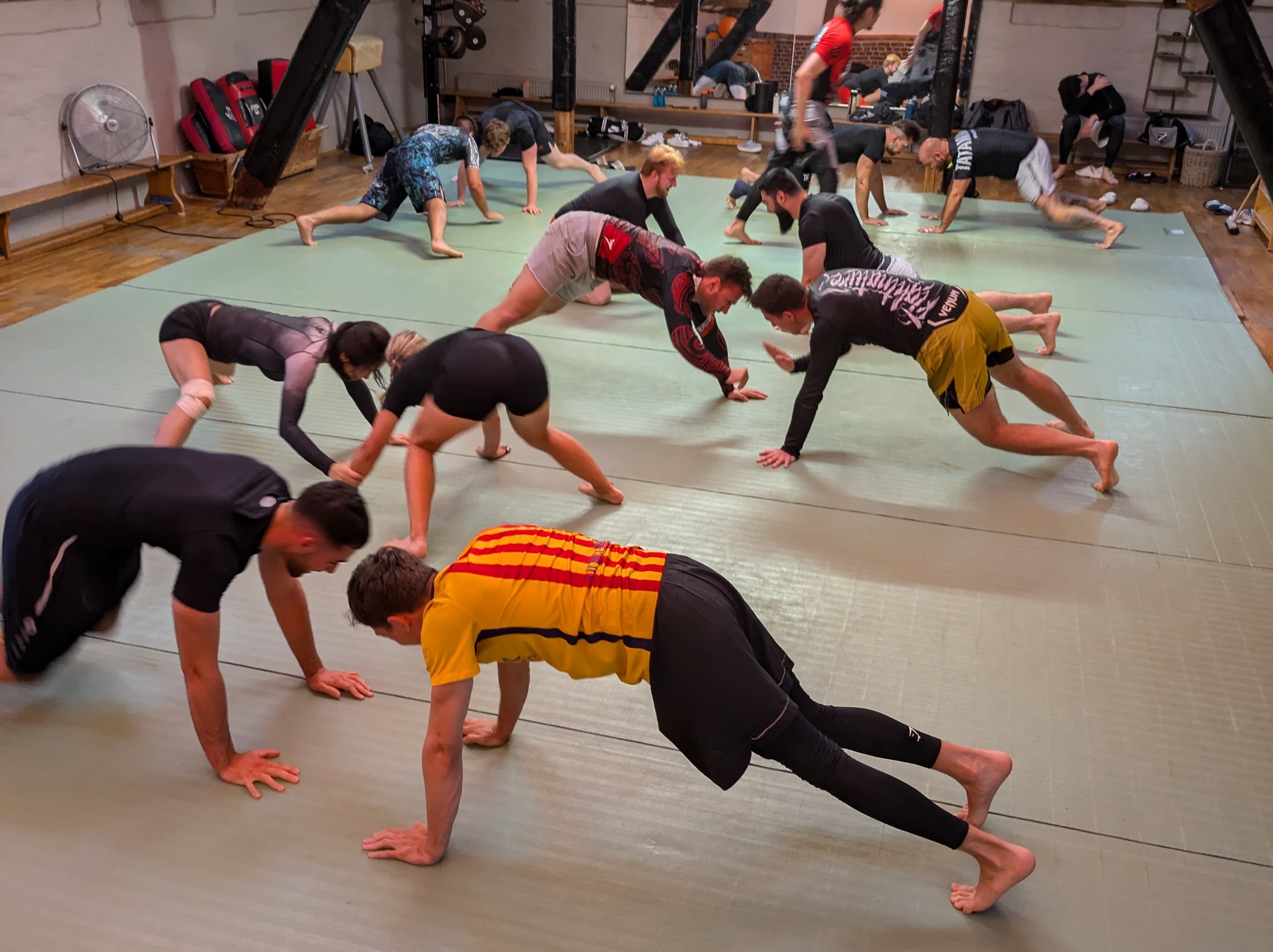 Open Mat Training